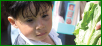 Child With Lettuce